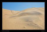 Huacachina Oasis Peru 08